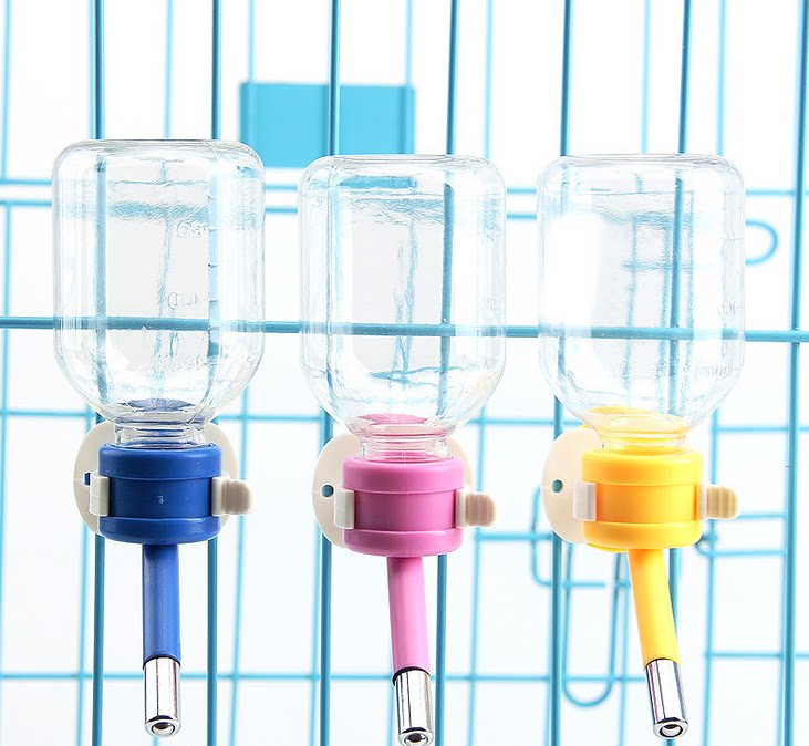 Parrot's eight-brother-in-body gowns with automatic drinker water feeder grey parrot gold sun sunflower water basin water bowl