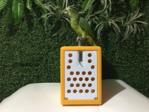 Small and medium parrot bird cage outside with cage grey parrot sunflower Sunflower Compromise Keke Gold Sun out of the Bird Cage out of the bag