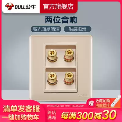 Bull socket flagship switch socket two-position audio voice box cable socket speaker audio socket panel G28