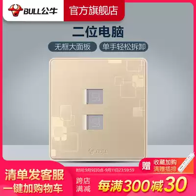 Bulls socket flagship dual network cable socket two bit 86 broadband information dual computer dual network port network G18 gold
