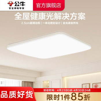 Bull Brand Living Room Lighting Fixtures, 2025 New Model Ceiling Lights for the Whole House, Full Spectrum Lighting Collection, Large Living Room Lights