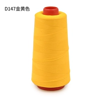 D147 Golden 100d