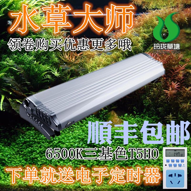 Water plant master Small Tyrannosaurus water plant lamp Big Tyrannosaurus water plant lamp holder series Big Stegosaurus electric dragon professional flip lamp holder