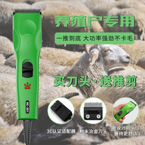 Lili belt line high-power wool clipper electric shearing machine dog shaver pet electric clipper shop dedicated