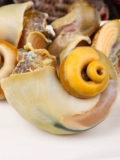 Da Shao Fresh Seafood Water Products Super Daaqingdao Special Product