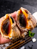 Da Shao Fresh Seafood Water Products Super Daaqingdao Special Product