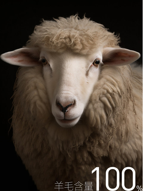 PEACEBIRD men's short woolen coat men's high-end winter new style long woolen coat pure wool trend