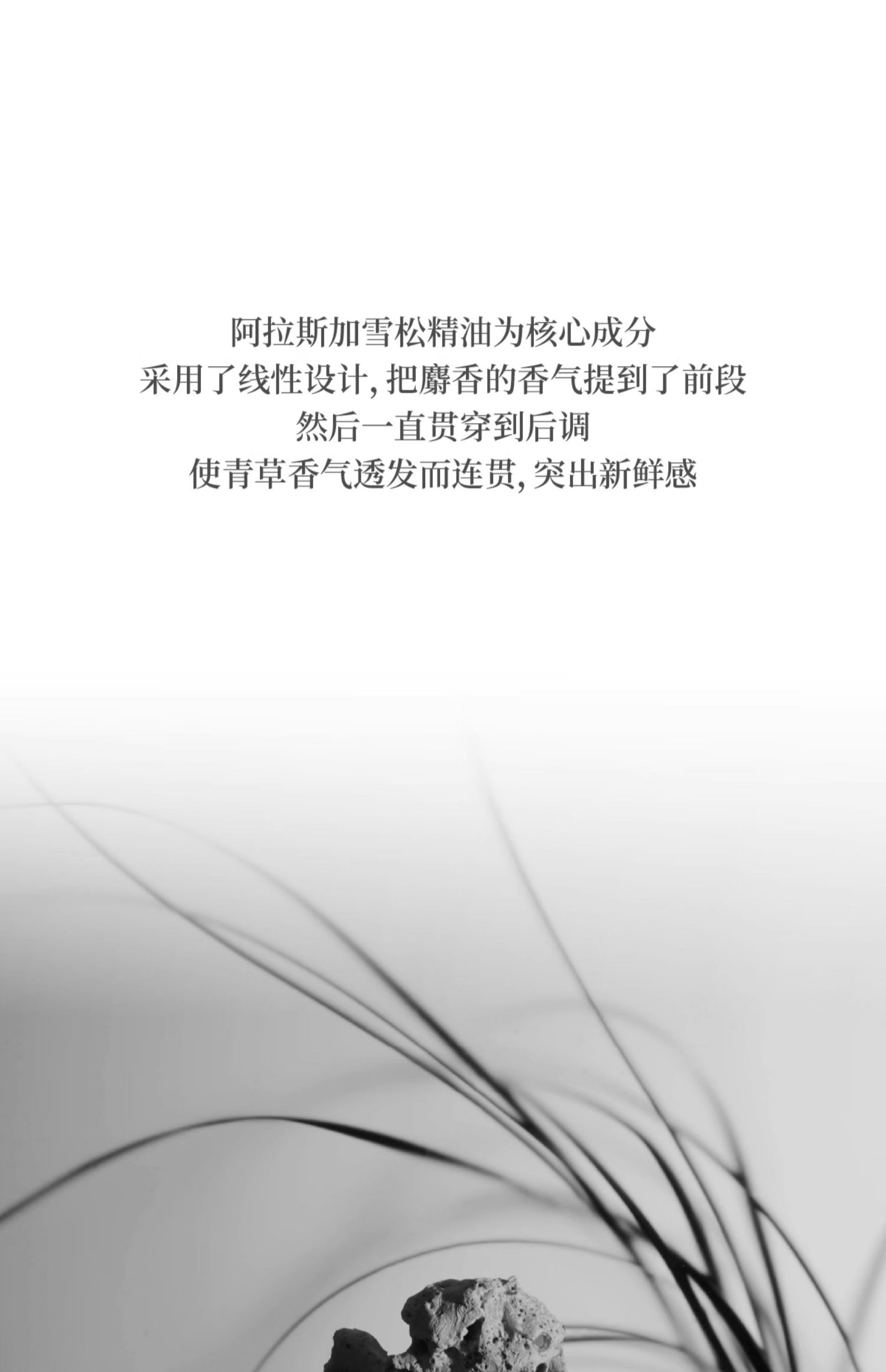 商品详情图