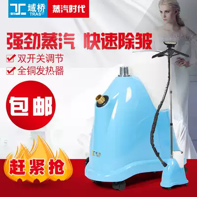Wing Bridge ironing machine copper core F1-X6 small household steam iron hanging steam iron for clothing store