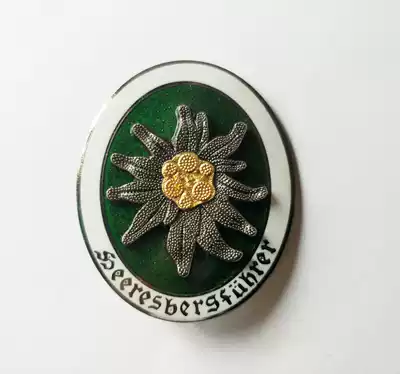 High quality German Mountain Division Mountain Guide Officer badge Mountain force Edelweiss metal badge