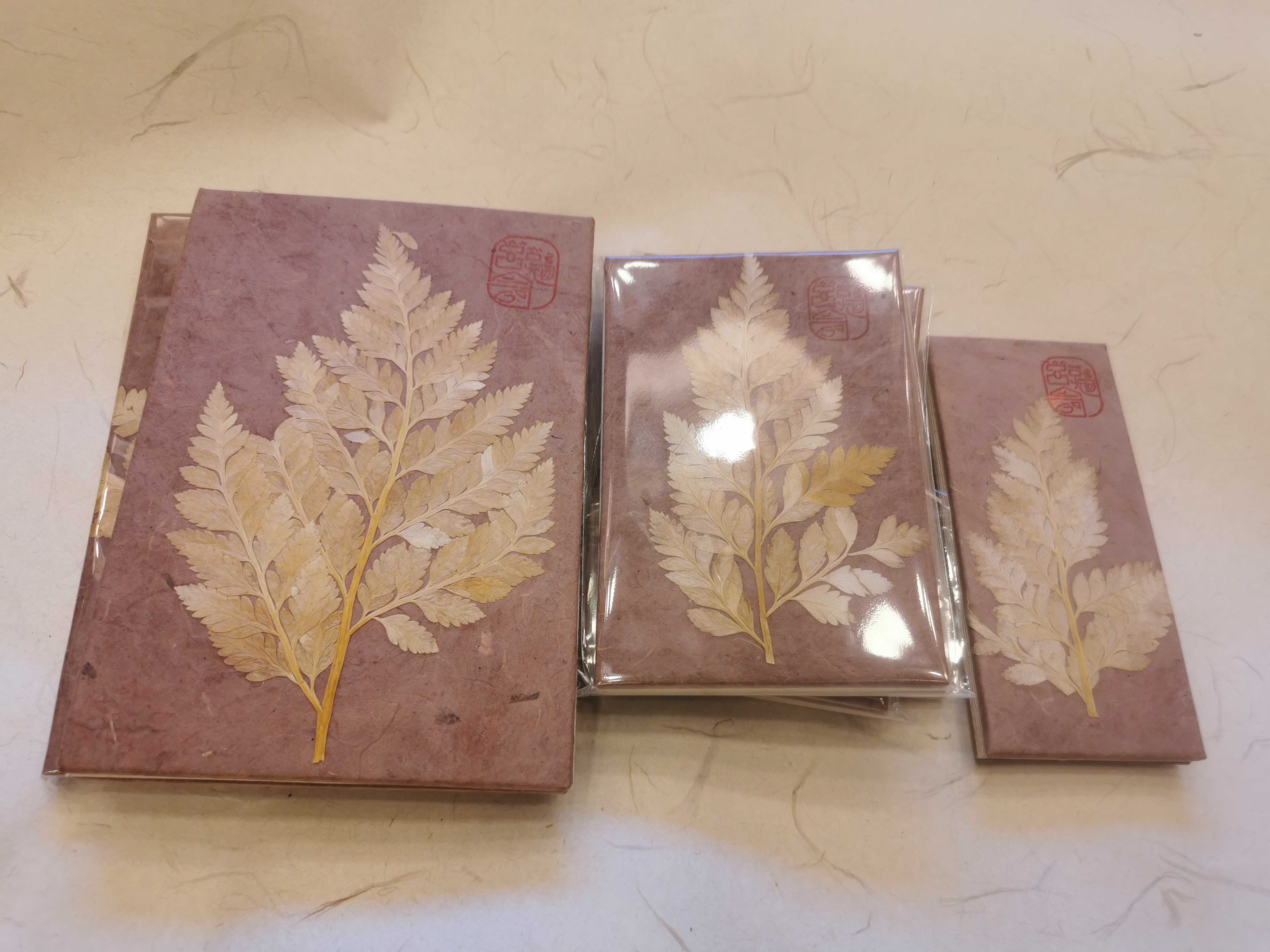 Lijiang Handmade Dongba Paper Dongba Handzah Long Fold Drawing Book