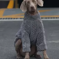 Тахсон серый