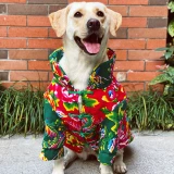 ПЭТ -Рука -Сделанная собачья одежда Новая годовальная хлопчатобумажная пиджак с утолщенным зимним платьем.