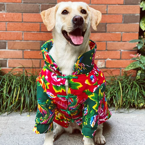 ПЭТ -Рука -Сделанная собачья одежда Новая годовальная хлопчатобумажная пиджак с утолщенным зимним платьем.