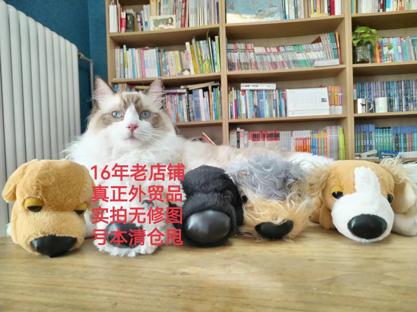 心生天津外贸店