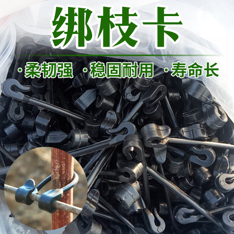 Grape tie branch card kiwi fruit tie Vine clip plastic steel wire kiwi fruit grape button tie silk adhesive hook