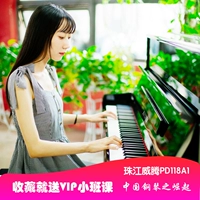 Pearl River Witten piano PD118A1 piano dọc gỗ chính hãng thương hiệu mới bắt đầu học sinh trưởng thành casio px 770