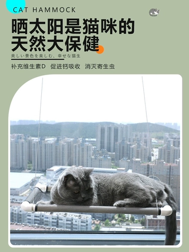 Dopoco Cat Histillon Window Glass Balcony Cat Cat Bed Осень Молл летнего подвеска всасывающая чашка для кошачья гнездо