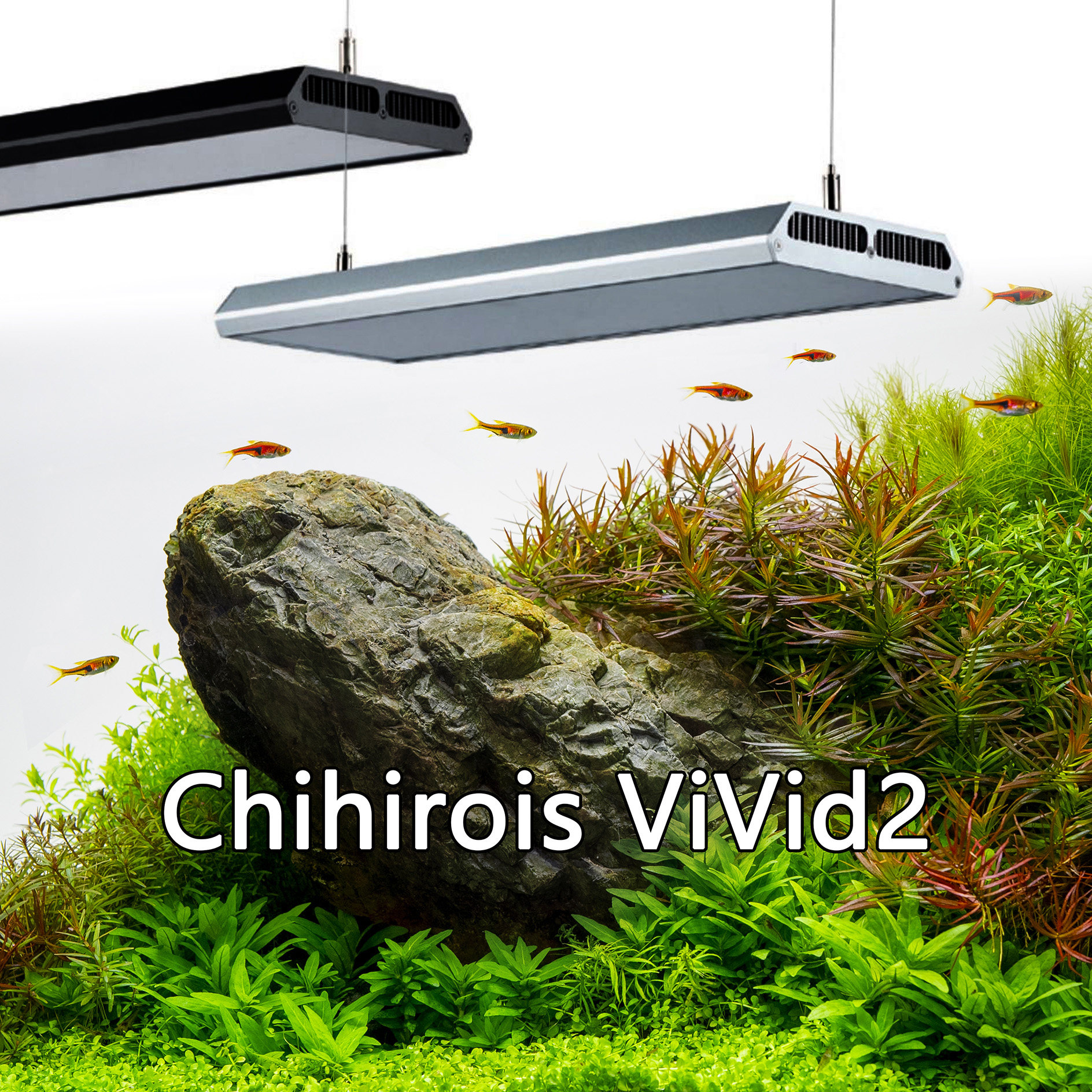 Chihiros RGB VIVID2 水槽用照明 【公式通販】