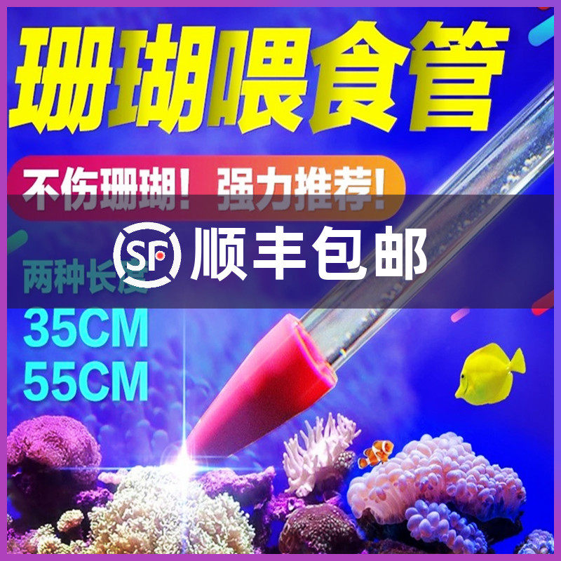 Red starfish acrylic coral feeder coral feeding tube fish tank feeding tool coral feeding tube