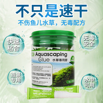 Easta water grass glue instant adhesive Moss pepper Banyan fish tank landscaping free shipping coral landscape glue