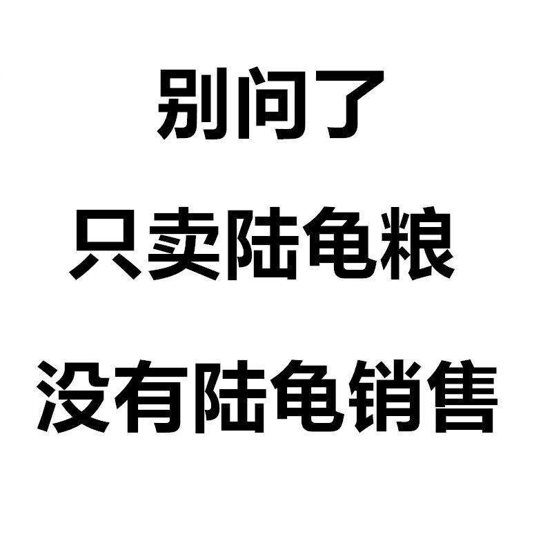 Flattering tortoise Tortoise Grain Feed Vegetarian Tortoise Sukada Elephant Tortoise Red Leg Black Boots Radiant BAO WEN Yada Grain