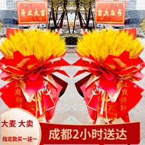 Chengdu Damai Opening Flower Basket Flowers Opening Tripod Housewarming Celebration Maisui Wuhou Chenghua District Citywide Express Delivery