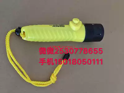 Diving flashlight