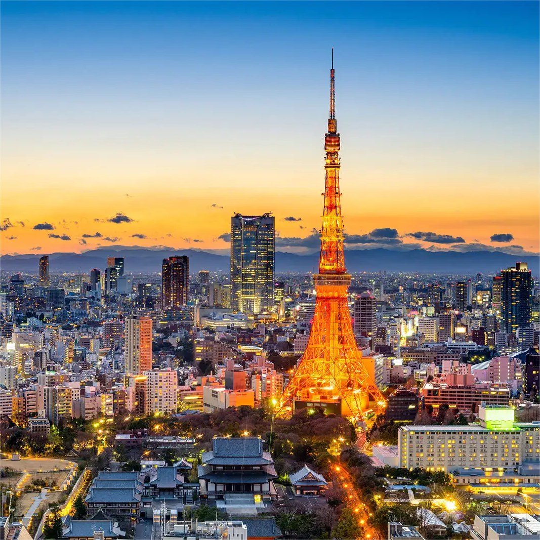 七七的代购之旅