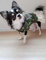 Daily pet clothes small dog dress than bear dog dress