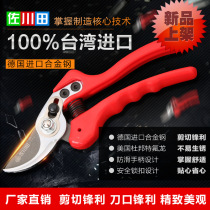Sagawa Tian scissors horticultural scissors fruit tree scissors garden tools garden pruning shears Greening rough branches