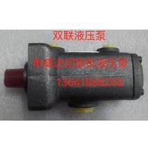 Paper cutter accessories Shenweida YB-D5 3 high pressure vane pump oil pump hydraulic pump double vane pump