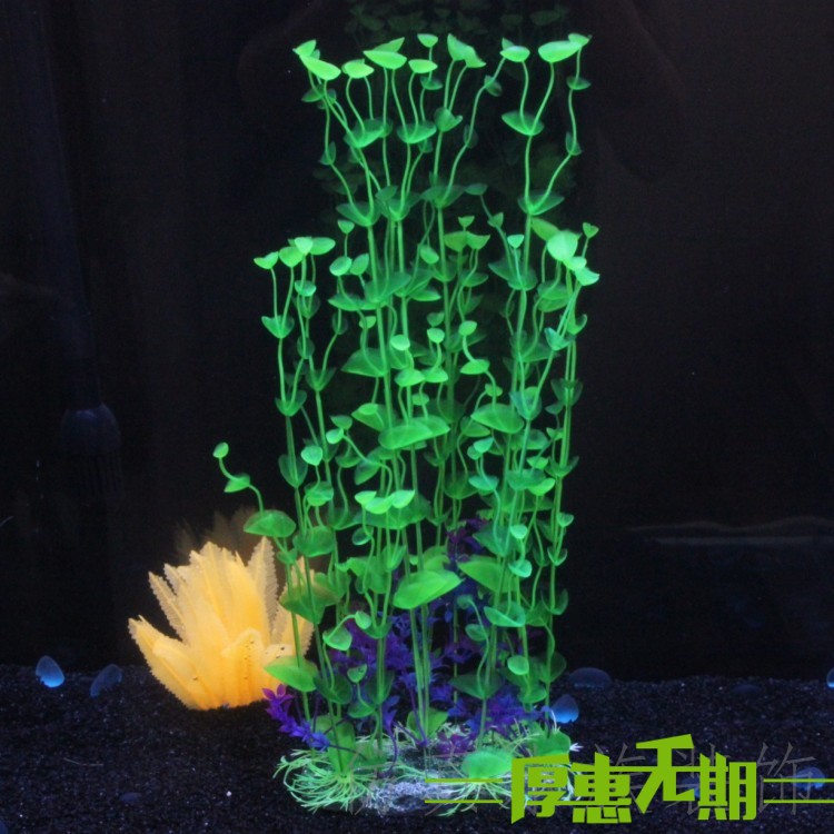 Emulated water grass shell grass Hard fish tank building scenery aquarium decorated with plastic grass plant rear view pendulum
