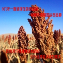 Northeast Red Soyi Rice to Shell Jilin High Liang earth black glutinous is not adhesive sorghum peeling teenager memory 5 kg
