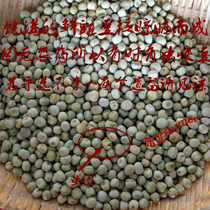 Dry pea green bean northeastern flag Jilin farmers breed fresh green beans 1 porridge meal