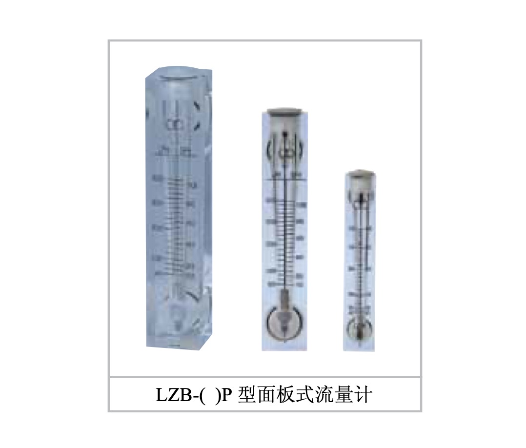 Flow meter flowmeter high precision flowmeter meter float flowmeter rotor LZB-8P 10P