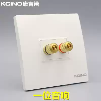 Kangino 86 type one audio socket panel double-headed two 2-hole speaker 5 1 surround audio banana head socket