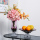 Застекленная градиентно-фиолетовая гидропонная ваза love fruit plate set decoration современный свет mini 1