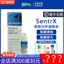 American Sparkling Sentrx Gel Corneal Humus Repair Cat Keratitis Ulcer Dog Dry Eye Disease Pet Eye Drops