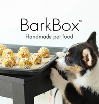 BarkBox Pumpkin Chicken Oatmeal Balls Dog Treats Calcium Supplements Pet Rewards Pet Handmade Oatmeal Balls