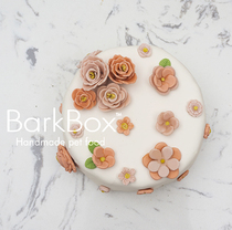Pet Cake Decorated Version Dog Cake Cat Cake BarkBox