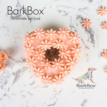 Barkbox Dog Birthday Cake Pet Birthday Cake Cat Birthday Cake Custom Pet Cake