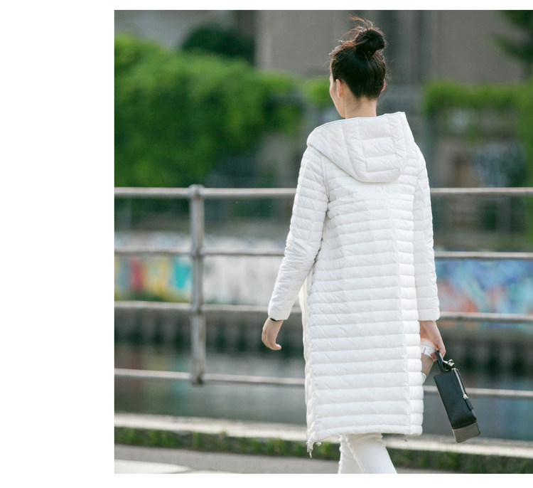 11641937-优化- (12).jpg