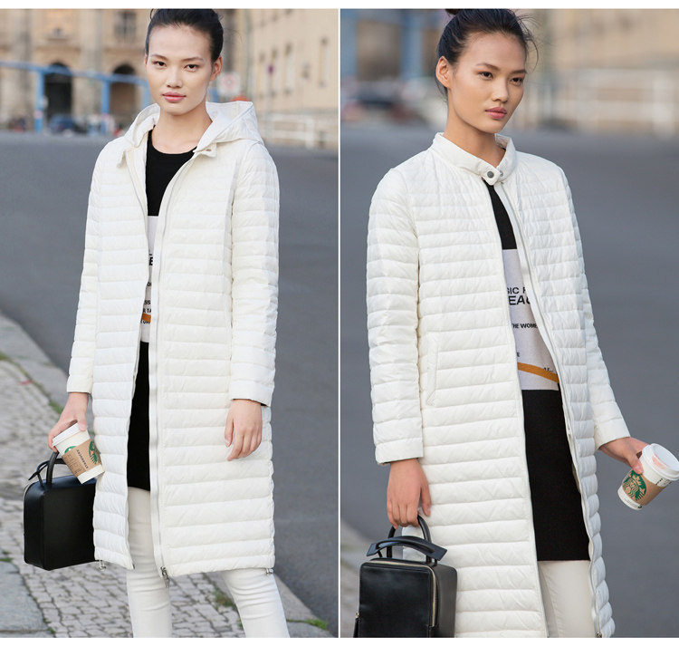 11641937-优化- (2).jpg