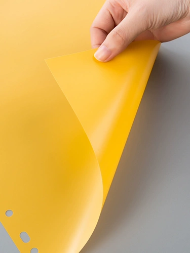 Цвет страница пластик 31 Color Club 31 Class Class Class Card Card Plastic Index Card 11 отверстия бумага бумага