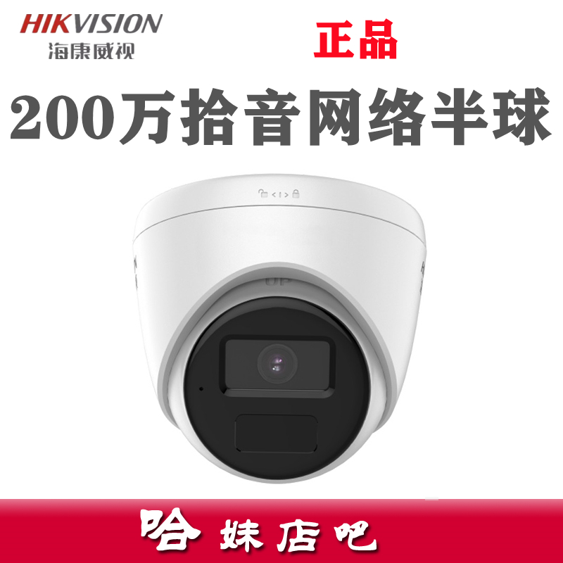 Hikvision 2 million indoor pickup network hemisphere DS-IPC-T12H-IA HD POE power supply monitoring