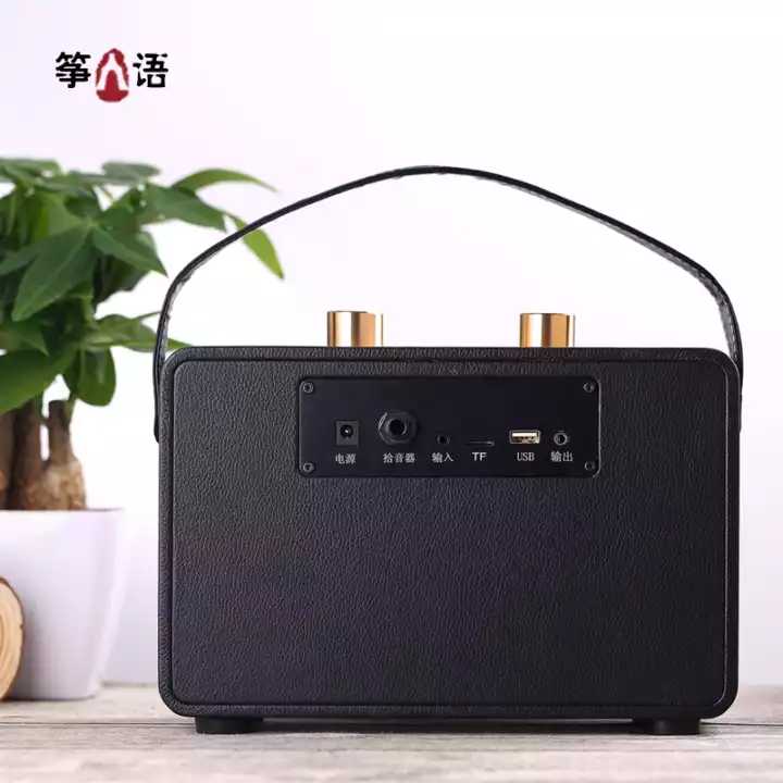 The professional version of the sound in the zither