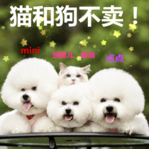 Supplementing freight postal fee special link all things that cannot be put on the shelves can be shot here.