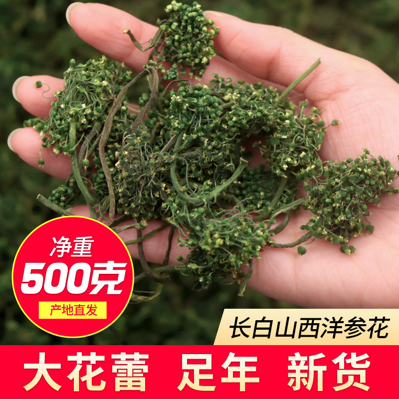 Changbaishan American Ginseng Flower Tea 6 years Wild Flower Bud Ginseng Flower 500g pot New American Ginseng Flower