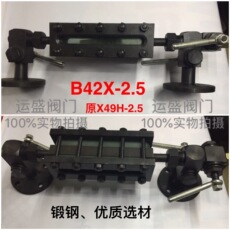 Уровнемер жидкости 锅炉水位计/锻钢平板水位计/液位计b42x-2.5/x49h-2.5 l300,350